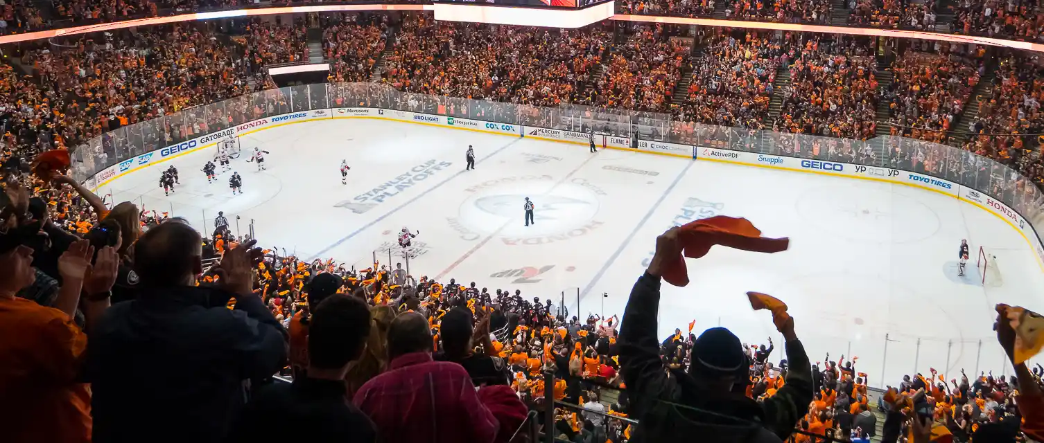Anaheim Ducks