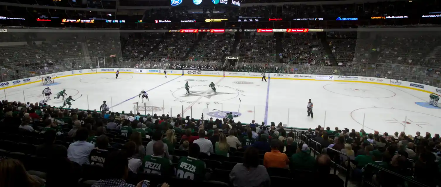 Dallas Stars