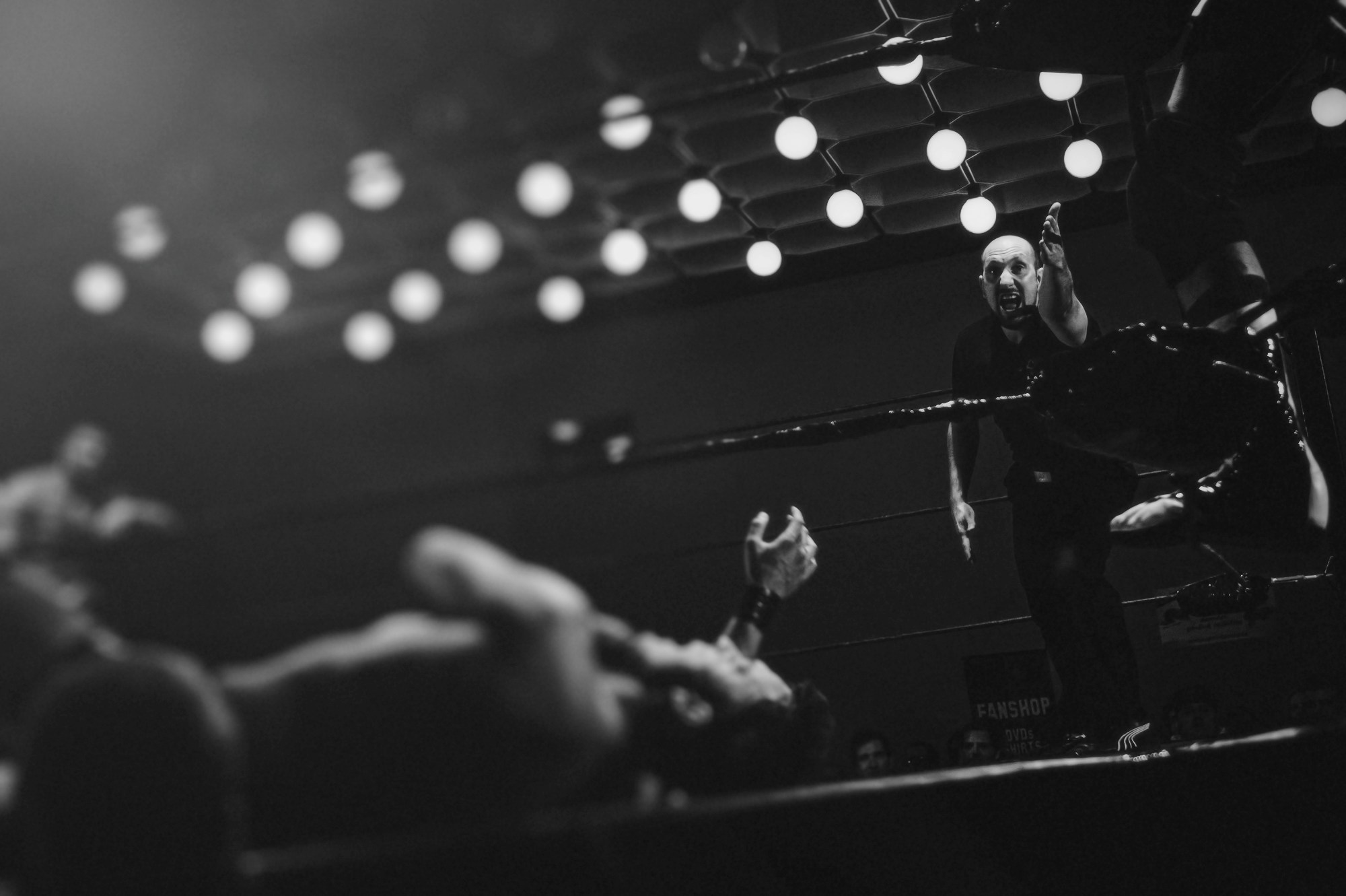 WWE Summer Tour