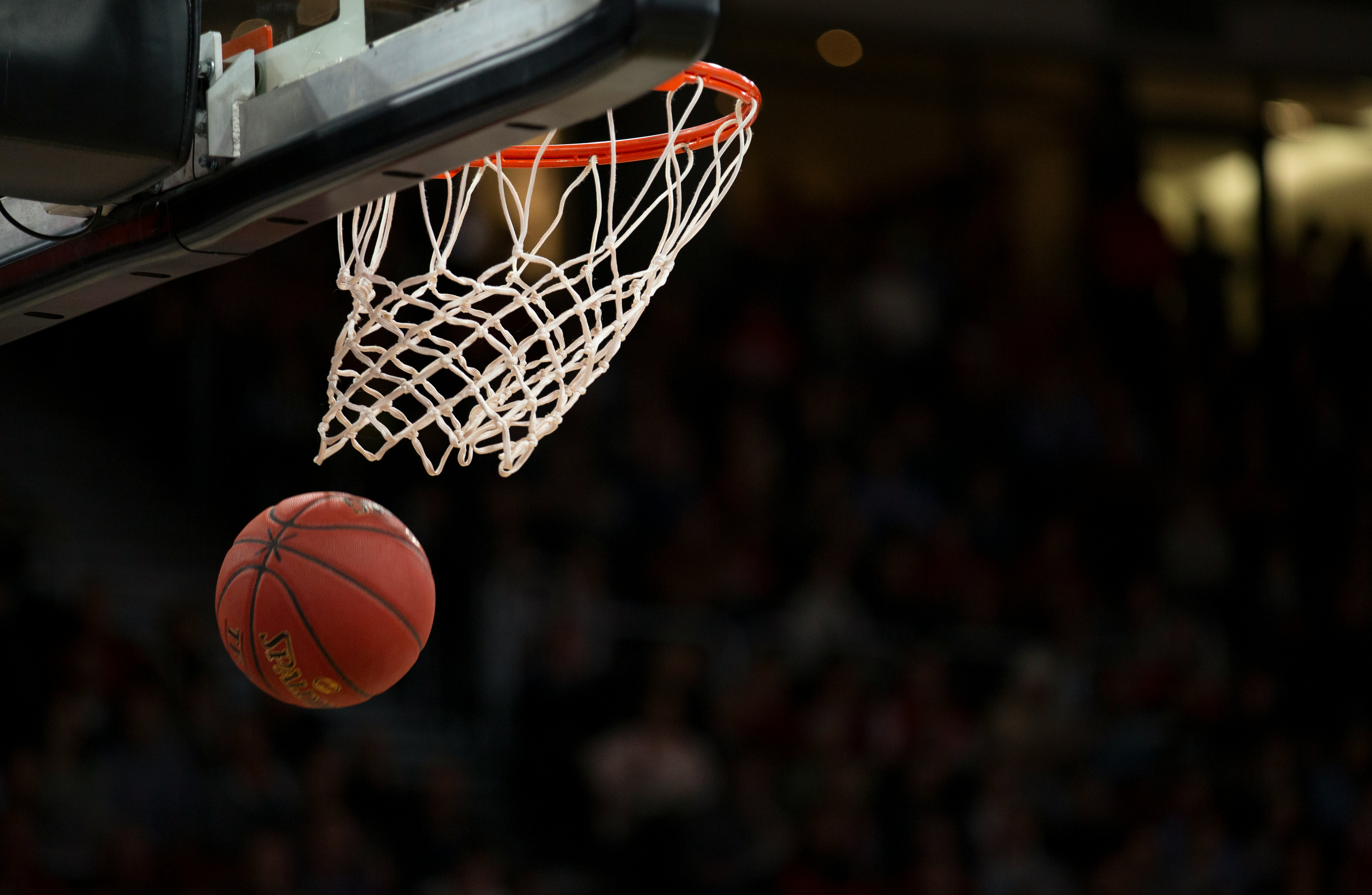 Southern Indiana Screaming Eagles at Evansville Purple Aces Mens Basketball