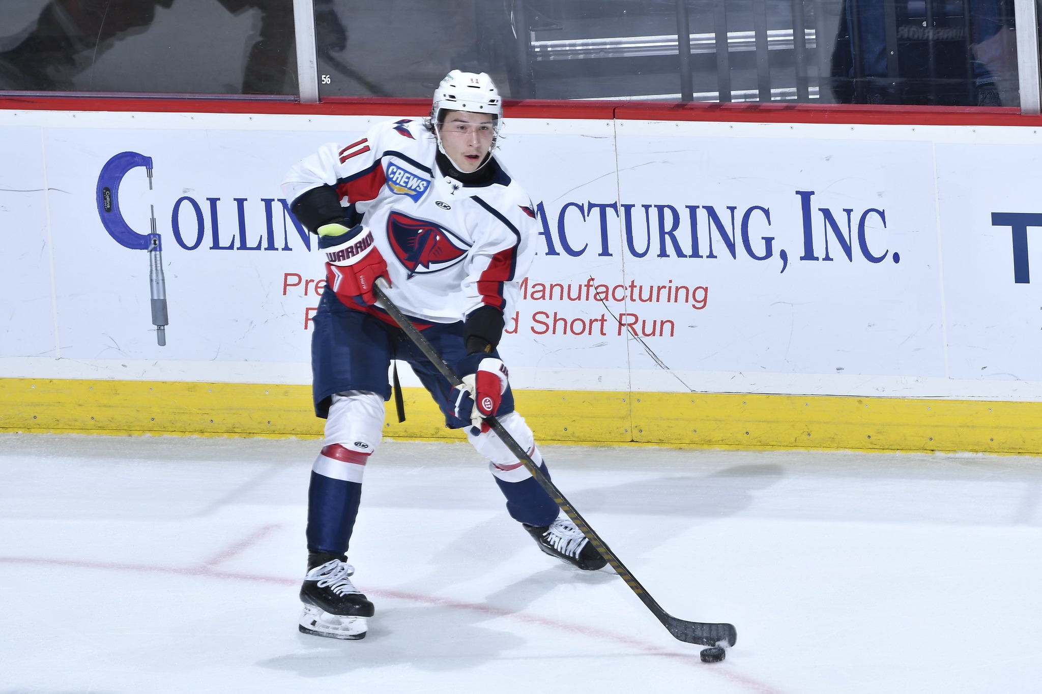 Atlanta Gladiators at South Carolina Stingrays
