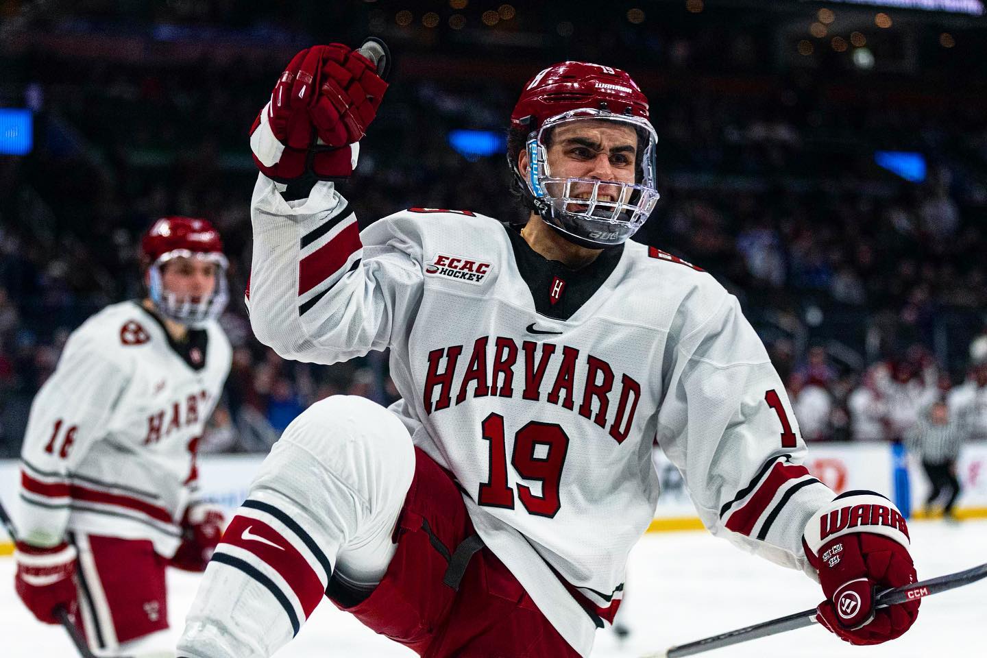 Harvard Crimson at Boston University Terriers Hockey