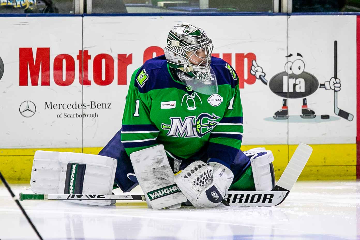 Maine Mariners at Greensboro Gargoyles