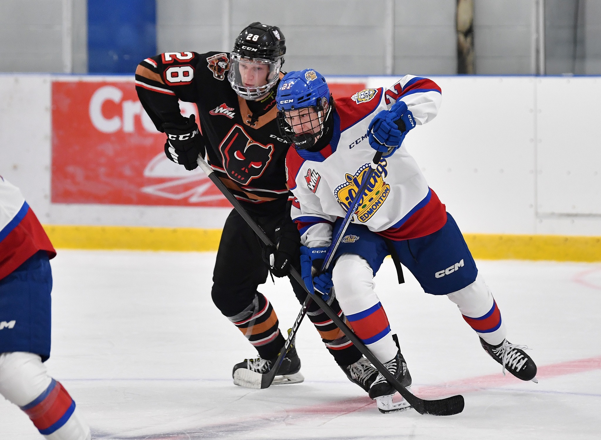 Calgary Hitmen at Edmonton Oil Kings