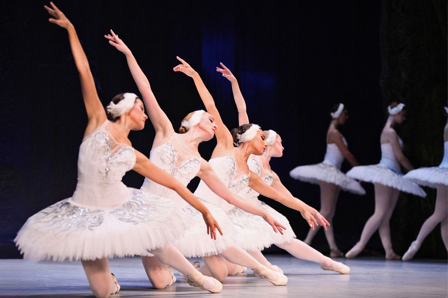 World Ballet Company