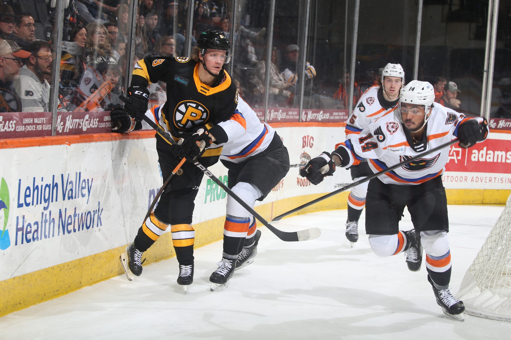 Providence Bruins at Lehigh Valley Phantoms