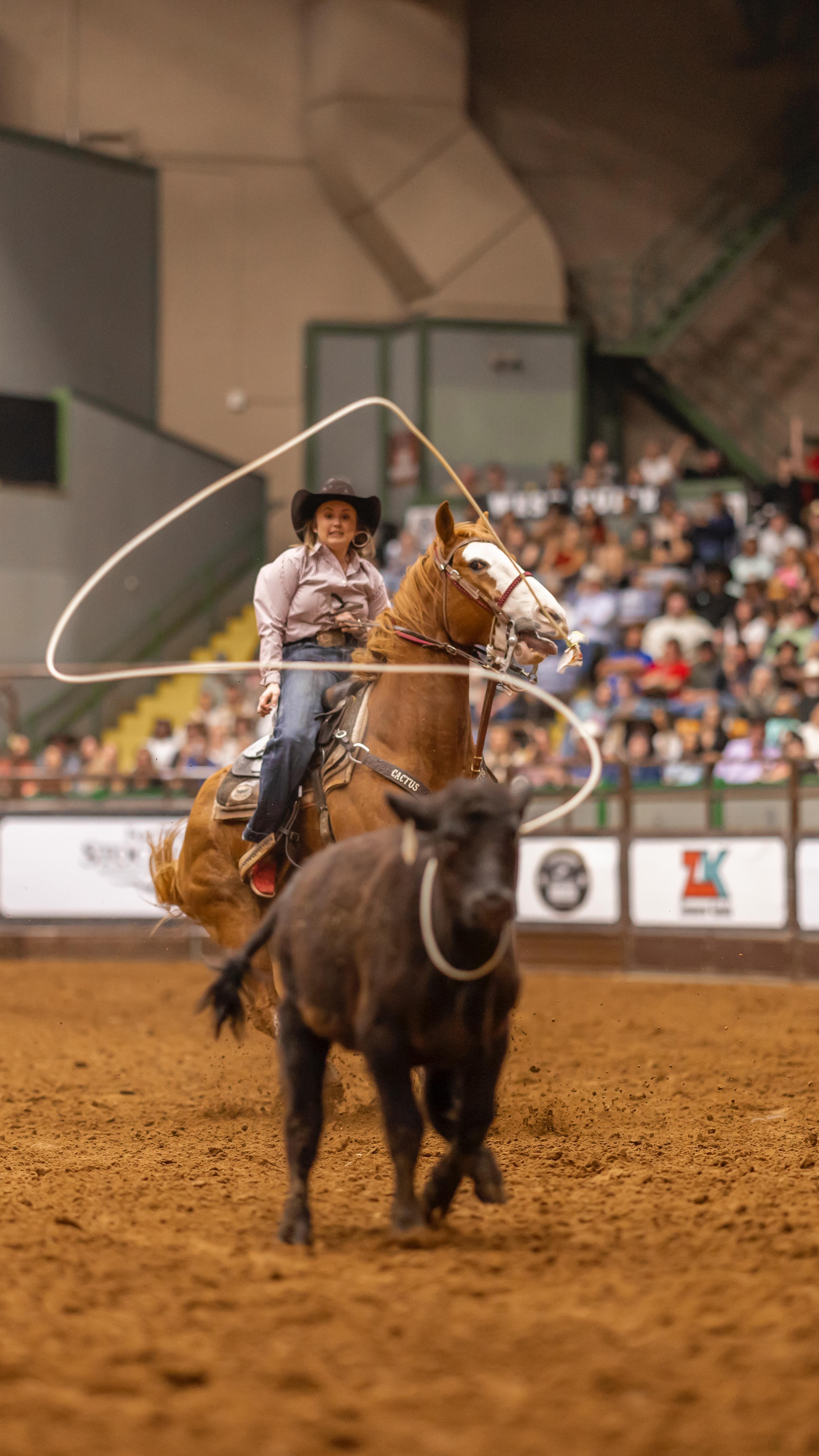 Stockyards Championship Rodeo