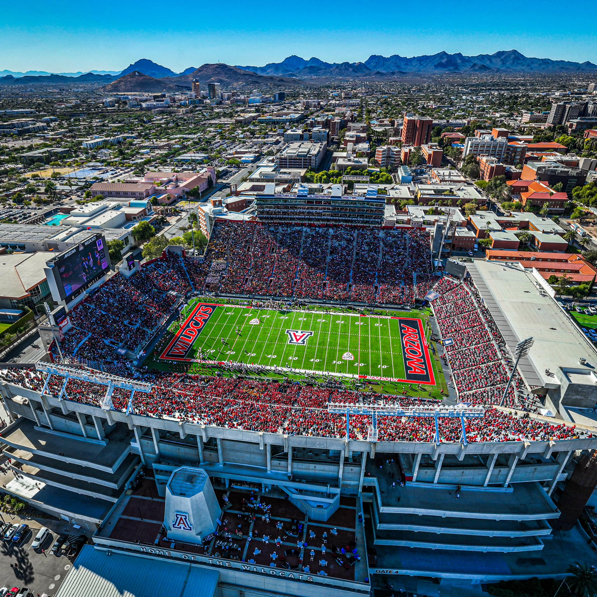 Arizona Wildcats Football