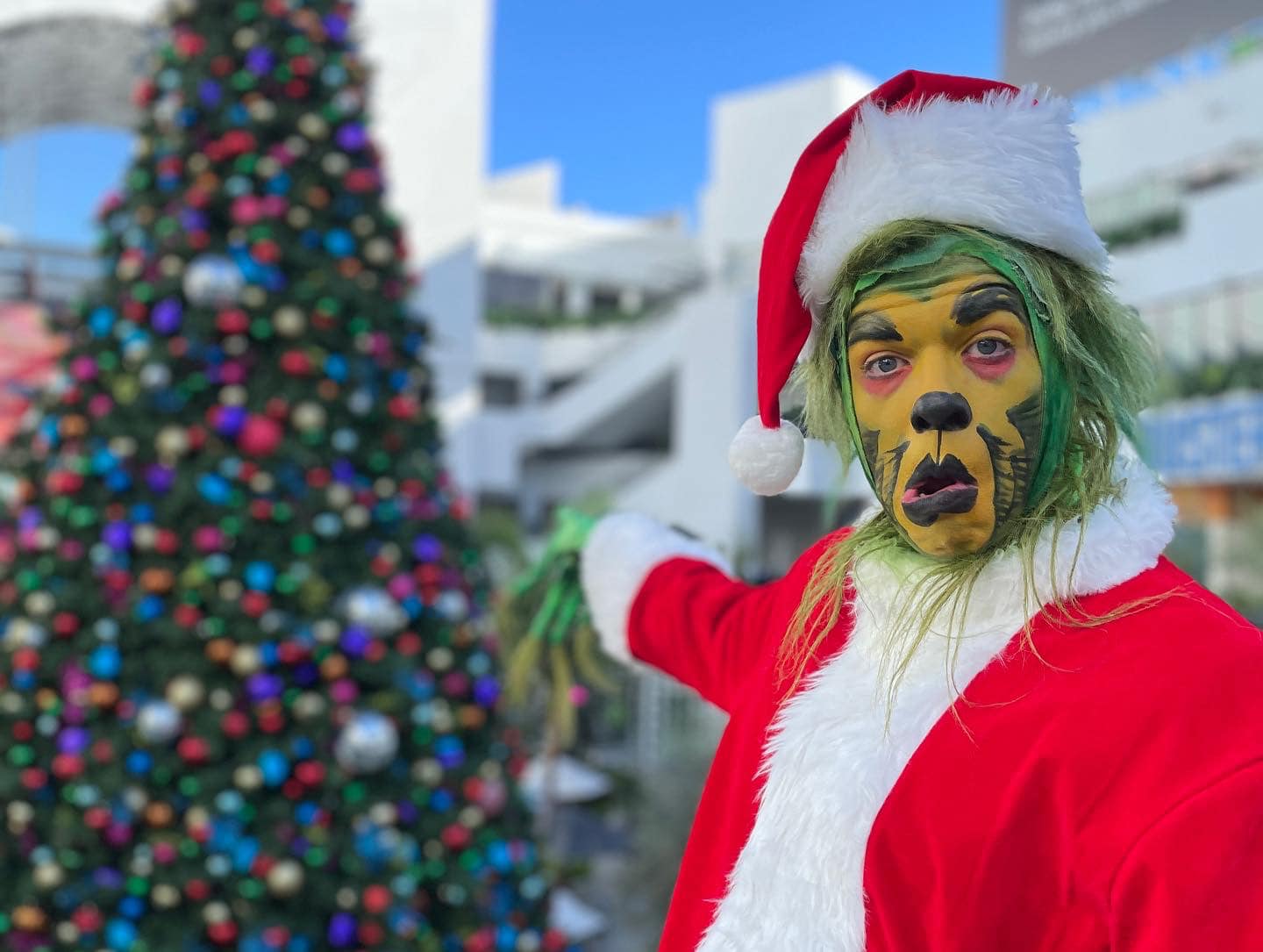 How The Grinch Stole Christmas